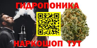 стафф Будённовск