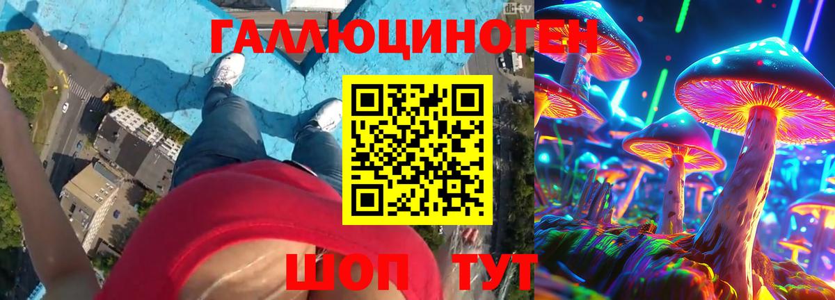 Наро-Фоминск  Галлюциногенные грибы прущие грибы  Вход с VPN 